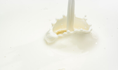 Close up splash cow milk