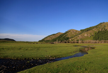 Fototapeta na wymiar The lush valley of Tsenkher, Mongolia