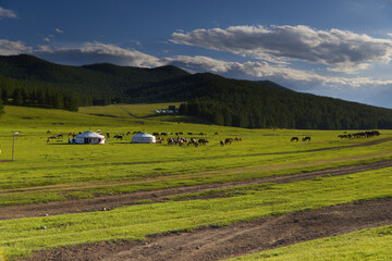 The lush valley of Tsenkher, Mongolia