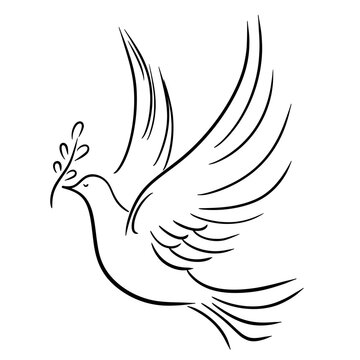 Dove with twig, peace symbol