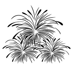 Firework Explosion Illustration
