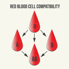 Red blood cell compatibility Blood Transfusion Donor Day