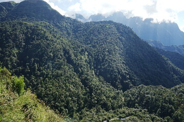 mountain path in Sapa, Vietnam - ベトナム サパ 山道