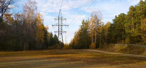 Power lines in the middle of an autumn forest in the evening sun