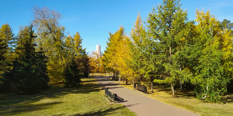 View of an autumn landscape in a park on a sunny day