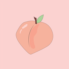 Hand drawn peach isolated on pink background. Vector illustration