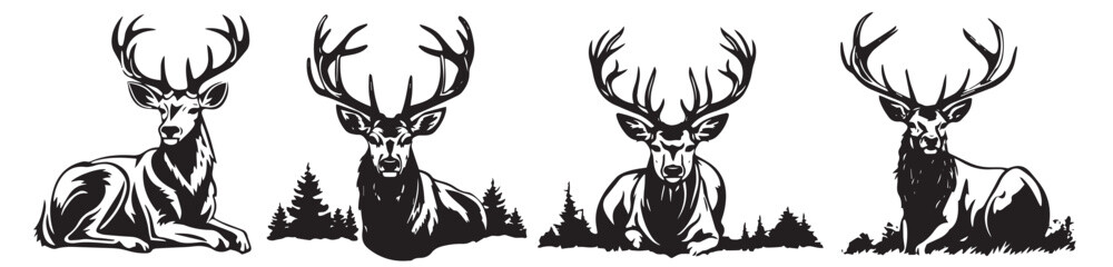 Deer head, black and white vector, silhouette shapes illustration
