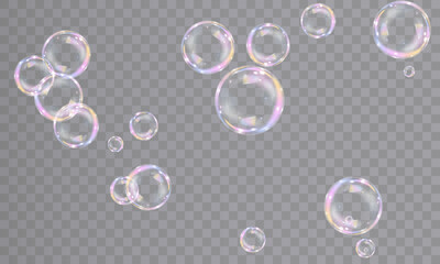 Realistic bubbles isolated on transparent background. Vector illustration of iridescent bubbles with shiny rainbow surface, bubble bath, symbol of freedom and childhood fun.