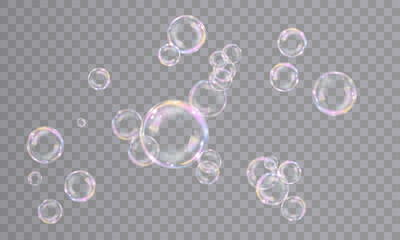 Realistic bubbles isolated on transparent background. Vector illustration of iridescent bubbles with shiny rainbow surface, bubble bath, symbol of freedom and childhood fun. - obrazy, fototapety, plakaty