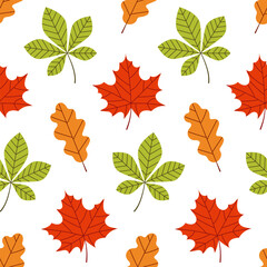 Autumn leaves seamless pattern. Maple, chestnut and oak leaves. Botanical print. Red, orange and green leaves on a white background.