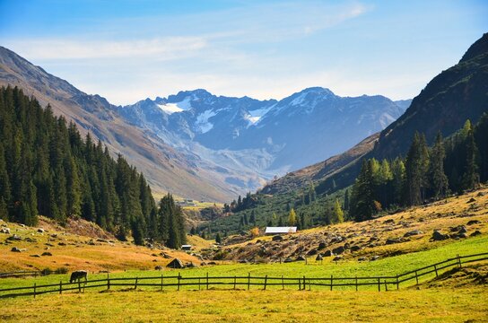 Dischma Valley, Dischmatal in Davos. Autumn in Dischma with a view of D&uuml;rrboden, Scalettahorn and Piz Grialetsch. Wanderlust in colorful autumn. Swiss Alps. High quality photo