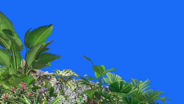 3D render Foreground Tropical Plant on background blue