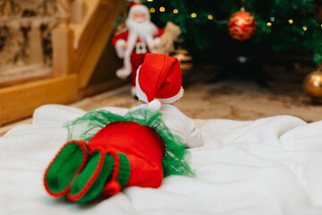 A little newborn baby in Christmas elf clothes is lying on stomach on a white blanket near a...