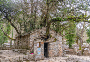 Megalopoli, Greece - 7 February 2023 - The Agia Theodora. An old Church with Tree grown in it