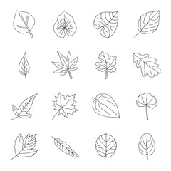set of leaves icon vector