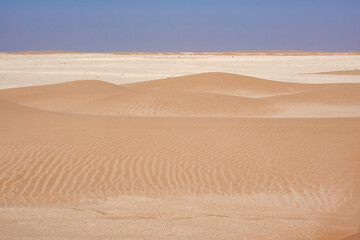 Fototapeta na wymiar Panorama of small dunes of the Rub Al Khali desert with streaks of golden sand and an expanse of limestone on the horizon from the blue sky. Oman.