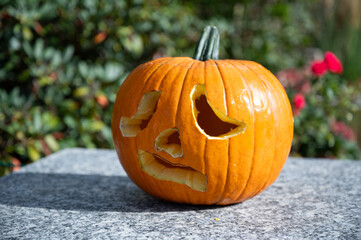  Self-carved pumpkin with frightened and scary face as decoration for Halloween time