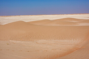 Fototapeta na wymiar Small cross desert dunes golden on the horizon limestone expanse. Oman.