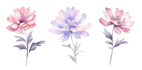 watercolor flowers, a set of illustrations in handmade watercolor style on a white background, generative ai