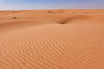 Panorama on the horizon of orange-coloured desert dunes and transverse sand waves.