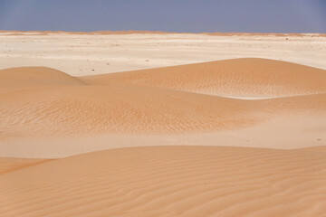 Panorama of small dunes with red sand and vertical streaks on the limestone horizon.