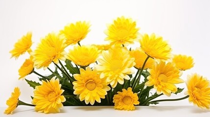 Yellow flowers of buttercup on white background. AI generated image