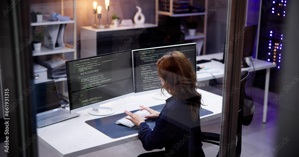 Poster Software Programmer Or Coder Woman
