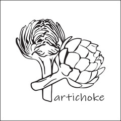 Two edible petaled artichoke buds, one cut in half, lengthwise. Harvest time, healthy vegetarian food. for menus and banners