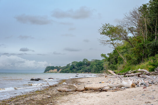 Totholz am Ostseestrand vor der Steilk&uuml;ste bei Brook