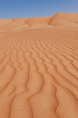 In the foreground vertical orange waves of desert sand against a backdrop of curving dunes and blue sky. Oman.