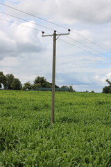 Three phase overhead powerline in a corn field UK