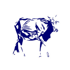 Obraz premium line sketch of a cow for elements of making logos and symbols as well as elements of advertisements and brochures