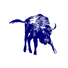 line sketch of a bull for elements of making logos and symbols as well as elements of advertisements and brochures