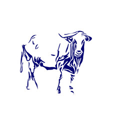 line sketch of a bull for elements of making logos and symbols as well as elements of advertisements and brochures