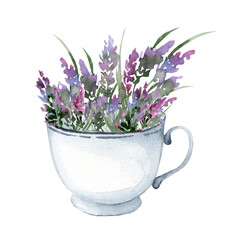 Bouquet of lavender in a vintage white mug. Hand drawn watercolor illustration of purple flowers for greeting cards or invitations on a white isolated background