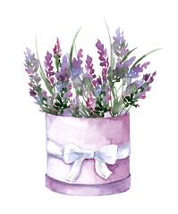 Bouquet of lavender in a vintage hat box. Hand drawn watercolor illustration of purple flowers isolated on white background