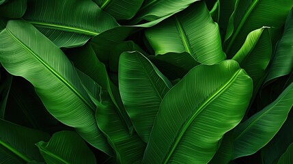 Green leaf banana fruit background.AI generated image