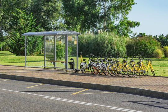 Empty bus stop by the park at summer day.
