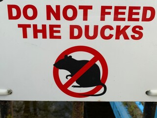 Signage "Do Not Feed the Ducks" to prevent rats mice
