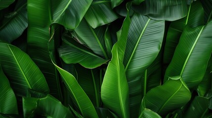 Green leaf banana fruit background.AI generated image