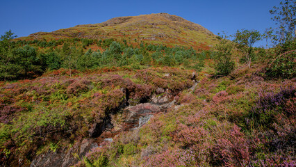 The beautiful mountains of Scotland