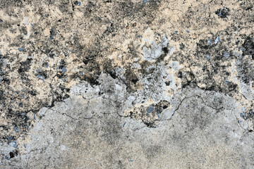 texture background