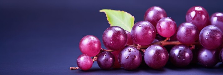 Dark grapes on violet background, wide horizontal panoramic banner with copy space, or web site header with empty area for text.