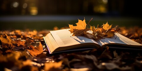 Naklejka na ściany i meble A Book Blanketed in Vibrantly Colored Leaves, Resting Gracefully in a Park, Celebrating the Season's Tranquil Beauty and Literary Escapade
