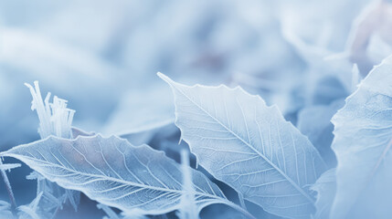 Closeup of a few frozen winter leaves, winter background.