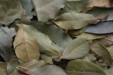 bay leaves background