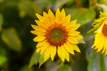 Schönheit ist immer da wo du bist_ manchmal musst du sich stoppen lassen