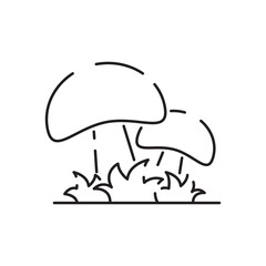 Vector Mushroom line icon, outline vector sign, linear pictogram mushroom symbol isolated on white. logo illustration