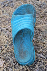 one old dirty blue plastic slipper stands on the ground and dry brown fallen pine needles on the...