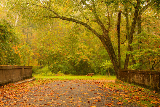 Beautiful tranquil autumn scene in Gladstone Park, New Jersey featuring colorful fall foliage and fog on the background